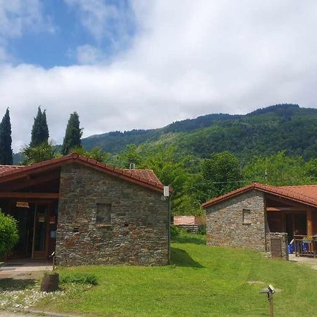 Chalets A 10 Minutes De Foix Mercus-Garrabet ภายนอก รูปภาพ